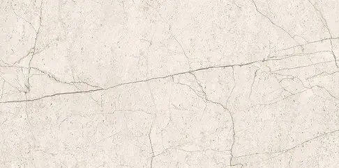 LIPIRIO LIGHT GREY POLISHED RECT 60X120 G1 NT1634-001-1