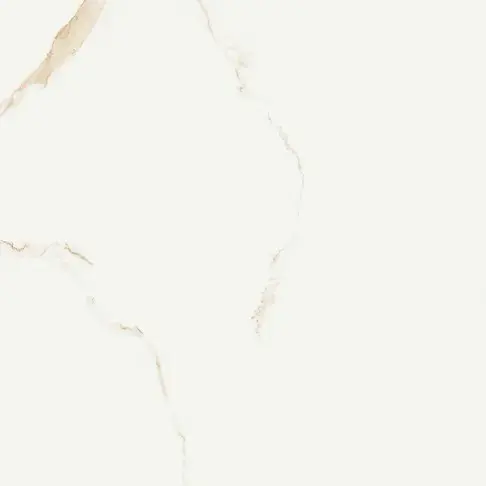 ELEGANTE SKY GOLD POLISHED RECT 60X60 G1 NT1565-002-1