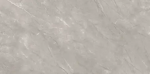 STONE VEINS GREY POLISHED 60X120 G1 NT1467-001-1