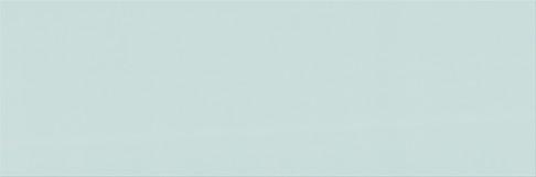 PS200 GREEN MATT 20X60 W942-003-1