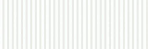 WT1149 WHITE STRUCTURE SATIN RECT 40X120 G1 NT1624-002-1