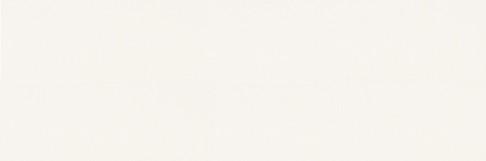 PS40 WHITE SHINY MICRO 40X120 NT105-001-1