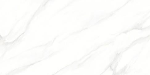 LARIVE WHITE POLISHED RECT 60X120 G1 NT1631-001-1