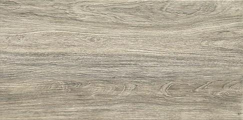 G304 WOOD GREY 30X60 W449-003-1