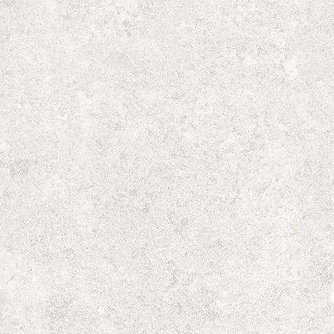 SASIRIO LIGHT GREY POLISHED RECT 60X60 G1 NT1682-002-1
