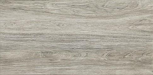 TIZURA BEIGE 30X60 W450-002-1