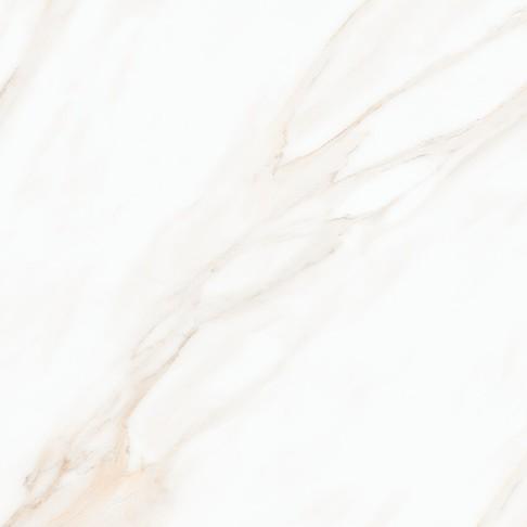 LARIVE BEIGE POLISHED RECT 60X60 G1 NT1631-004-1