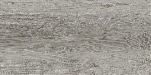 G317 GREY 30X60 NT123-001-1