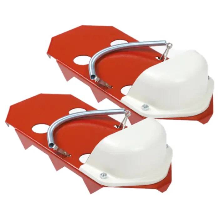 Raimondi Plank shoes with points