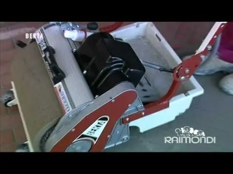 Raimondi Sponge role Berta Havana