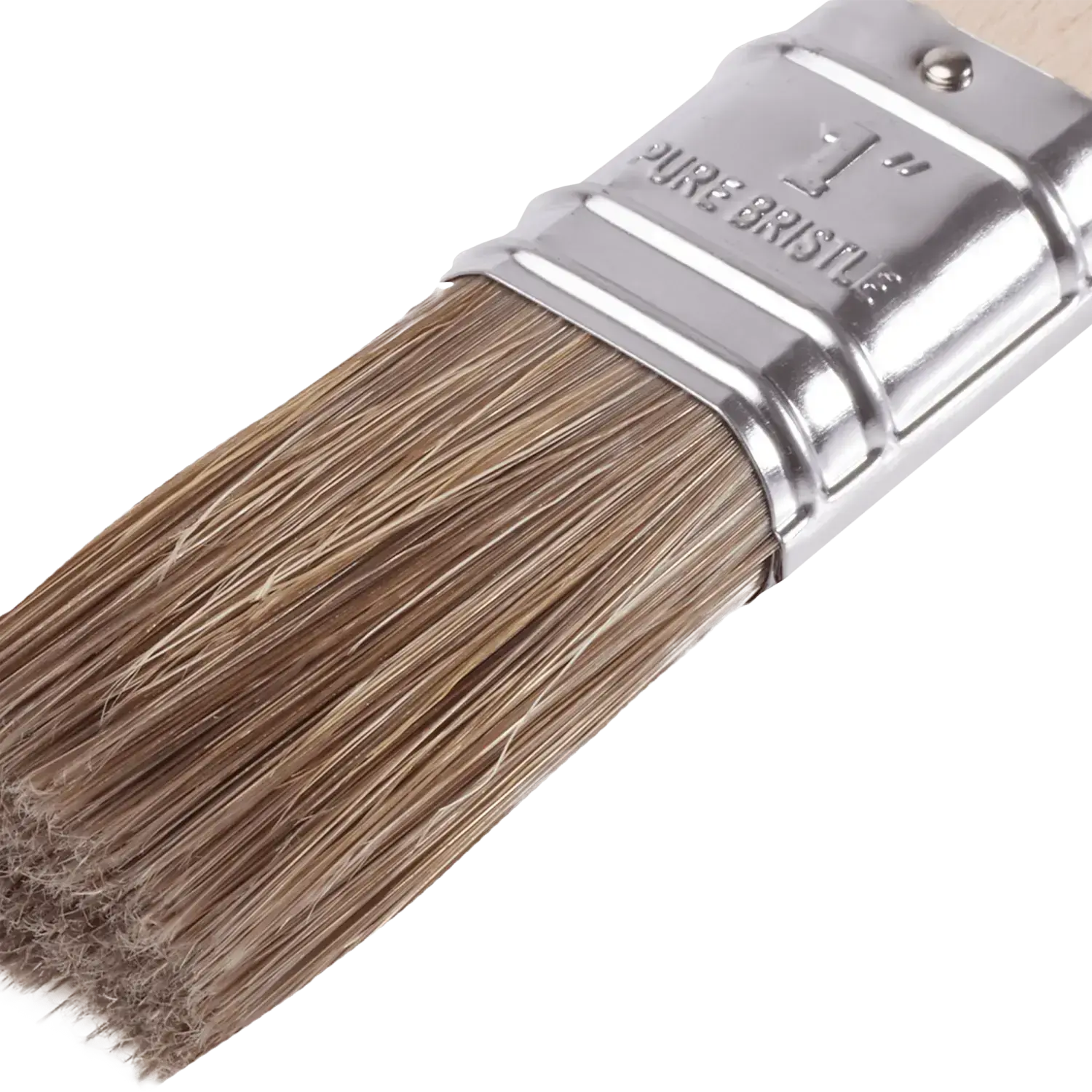 Engelse kwast WOOD 1” / 51 / 15 mm STALCO S-38990