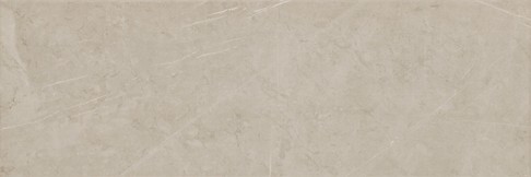 MANZILA BROWN MATT 20X60 W1016-005-1