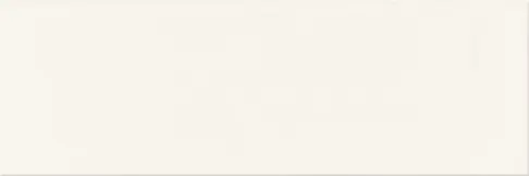 SALSA WHITE MATT 10X30