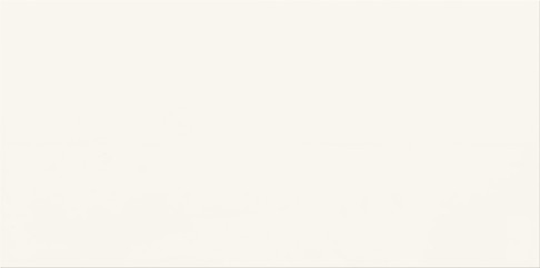 PS800 WHITE SATIN 30x60 W562-001-1