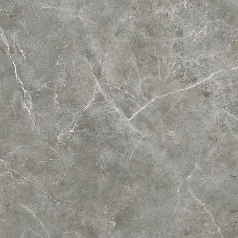 SILVER POINT GREY MATT 80X80