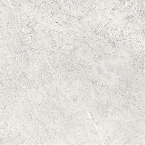 STONE PARADISE LIGHT GREY MATT RECT 60X60