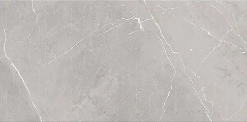 ASSIER GREY INSERTO GLOSSY 30X60