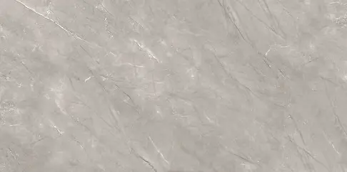 STONE VEINS GREY POLISHED 60X120 G1
