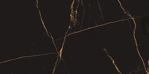VEINS BLACK POLISHED 60X120 G1