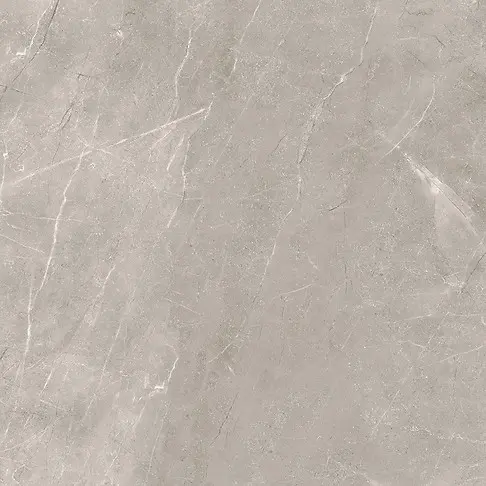 VETICANO GREY POLISHED RECT 60X60 G1