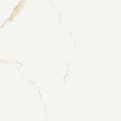 ELEGANTE SKY GOLD POLISHED RECT 60X60 G1