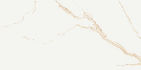 ELEGANTE SKY GOLD POLISHED RECT 60X120 G1