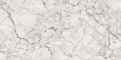 FORZA GREY POLISHED RECT 60X120 G1