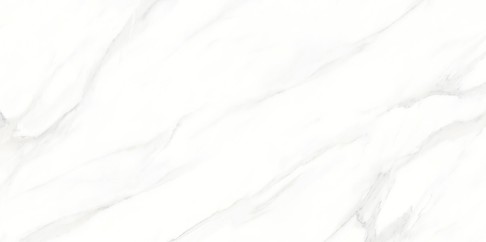 LARIVE WHITE POLISHED RECT 60X120 G1