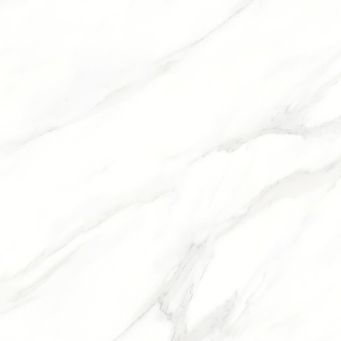 LARIVE WHITE POLISHED RECT 60X60 G1