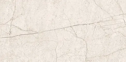LIPIRIO LIGHT GREY POLISHED RECT 60X120 G1