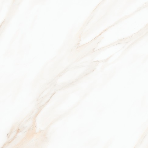 LARIVE BEIGE POLISHED RECT 60X60 G1