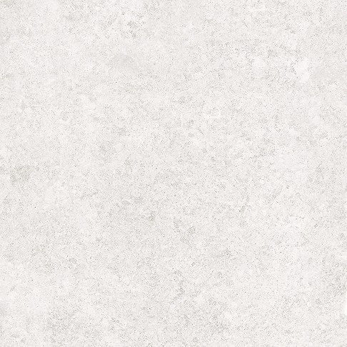 SASIRIO LIGHT GREY POLISHED RECT 60X60 G1
