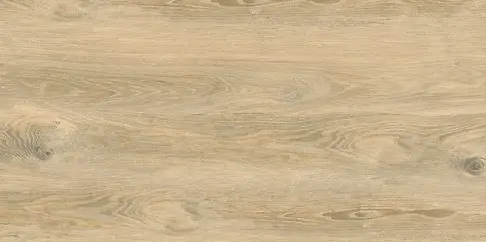 GPT1003 LIGHT BROWN MATT RECT 60X120 G1