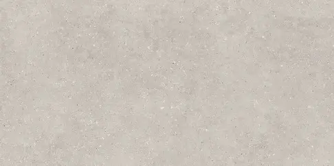 GPT1103 GREY MATT RECT 60X120 G1