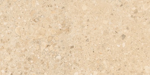 TERRAZZO STONE WARM BEIGE MATT RECT 60X120 G1