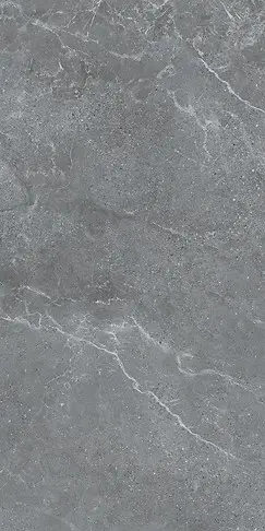 GPT1067 GREY MATT RECT 60X120 G1