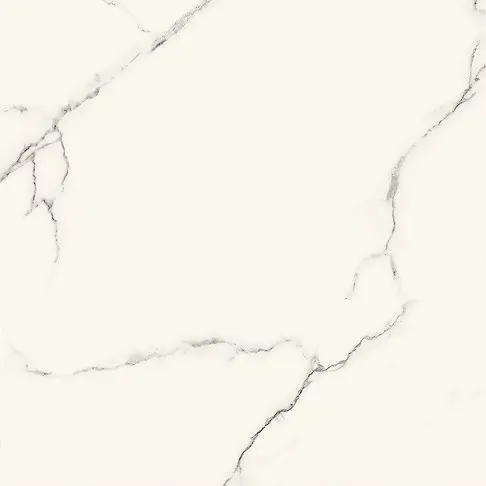 CALACATTA NEW WHITE MATT CARVING RECT 60X60 G1