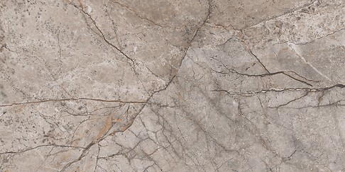 GPT1030 BROWN MATT RECT 60X120 G1