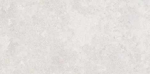 MUSSA LIGHT GREY MATT RECT 60X120 G1