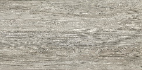 TIZURA BEIGE 30X60 W450-002-1