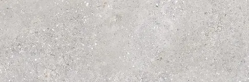 ROCK LEAVES GRYS MATT RECT 40X120 G1