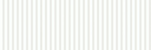 WT1149 WHITE STRUCTURE SATIN RECT 40X120 G1