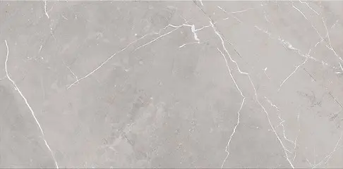 ASSIER GREY GLOSSY 30X60 NT919-001-1