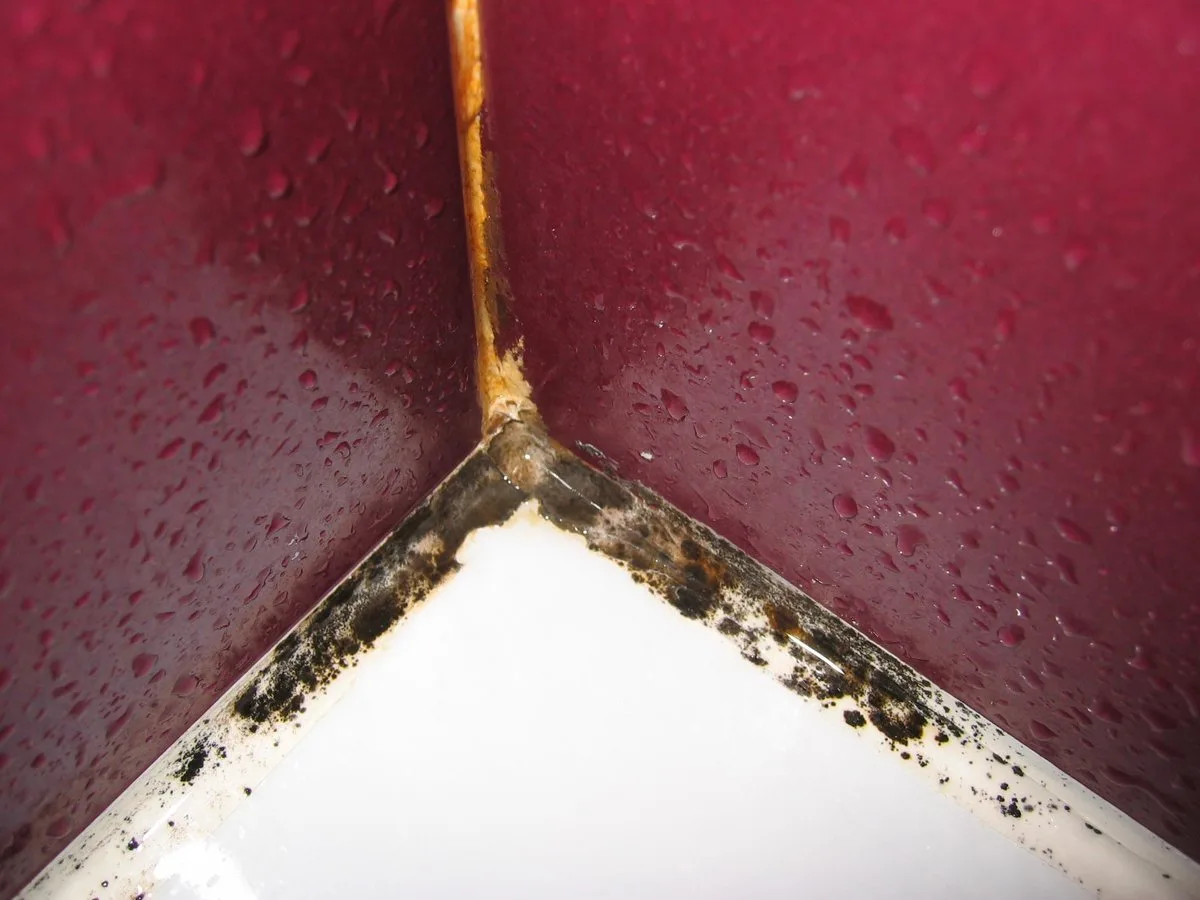 Silicone joint in a shower corner with black mould